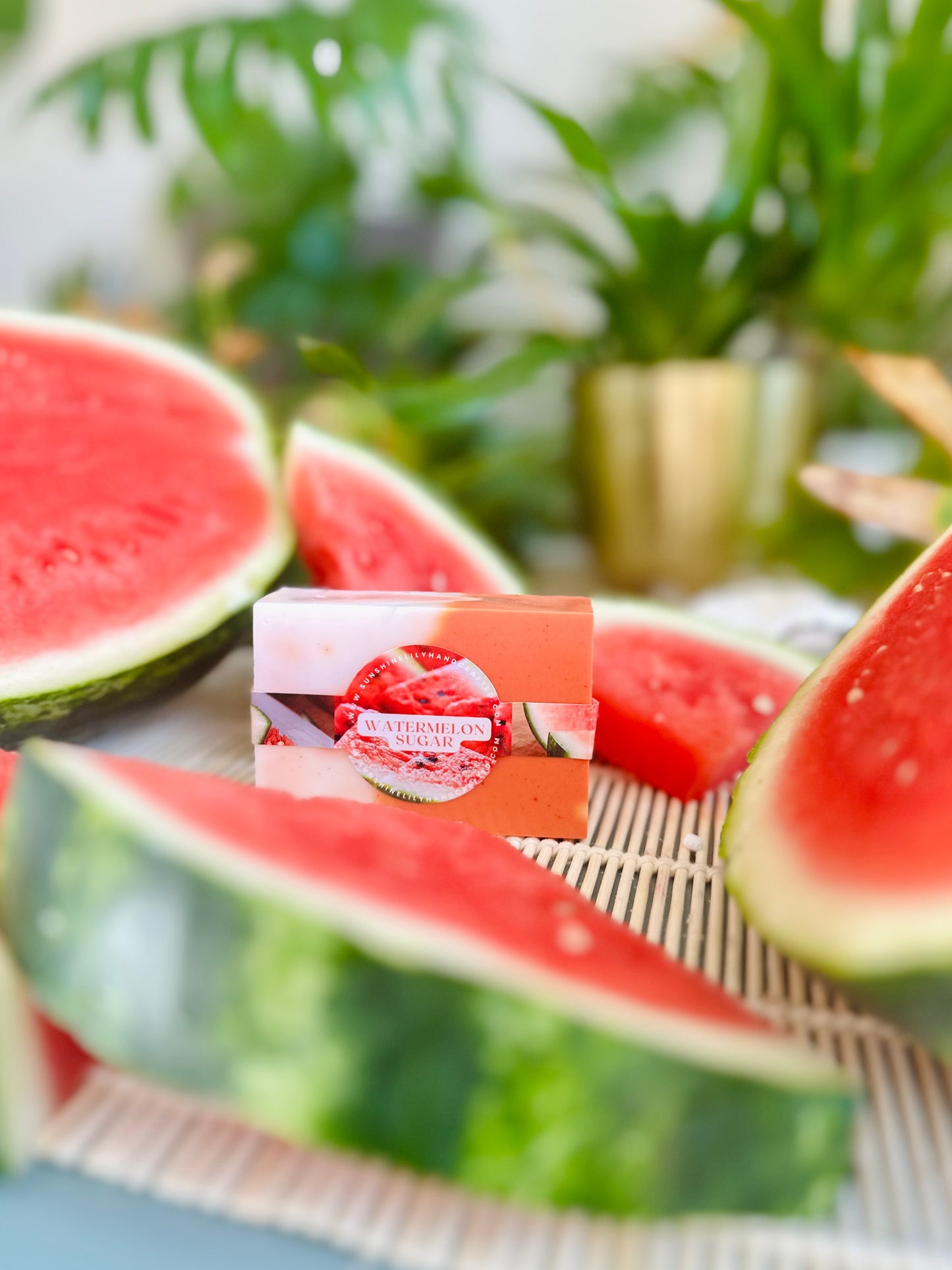 Watermelon Sugar Oatmeal & Shea Soap