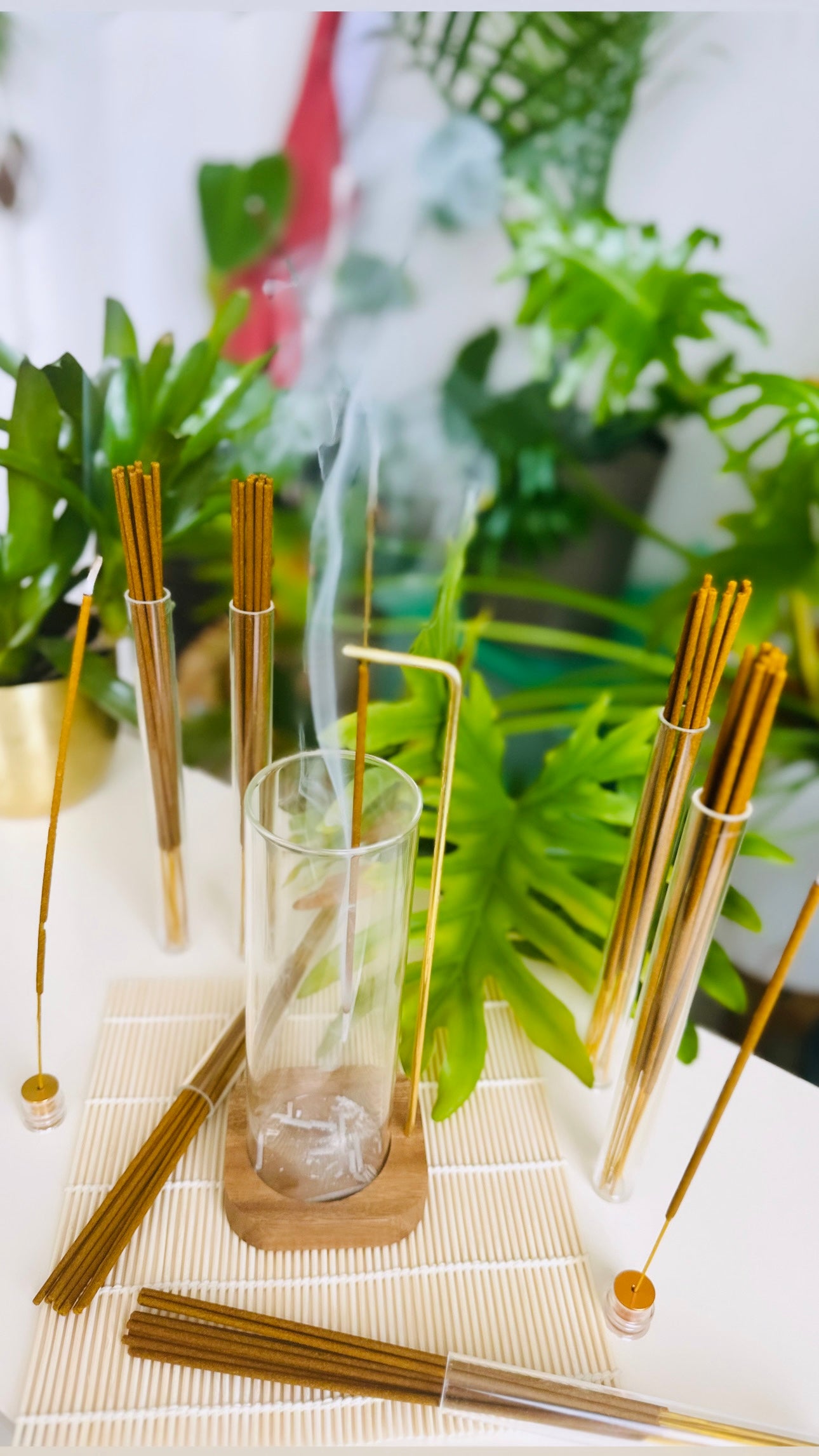Mystic Fern and Acai Incense