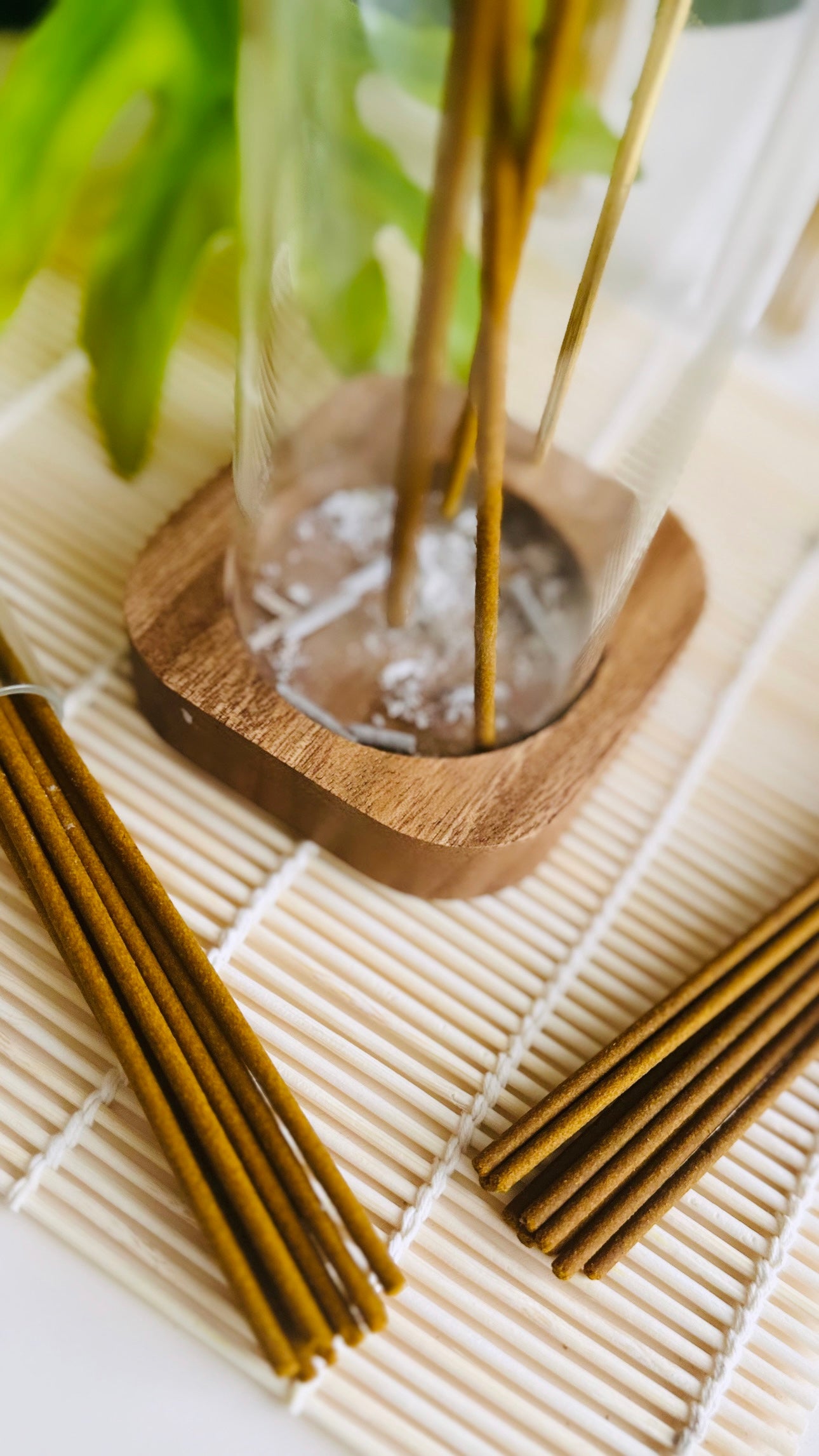 Mystic Fern and Acai Incense
