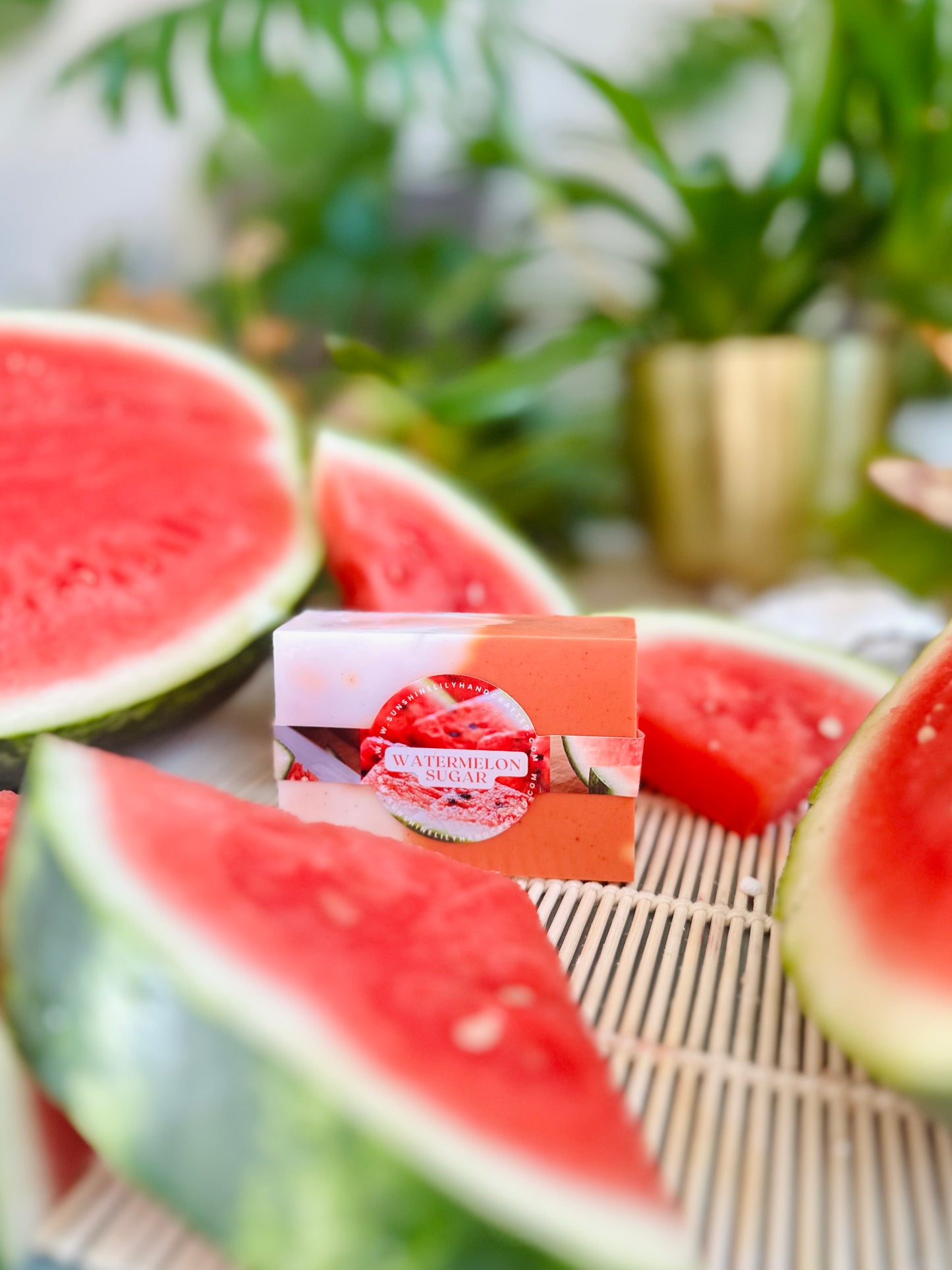 Watermelon Sugar Oatmeal & Shea Soap